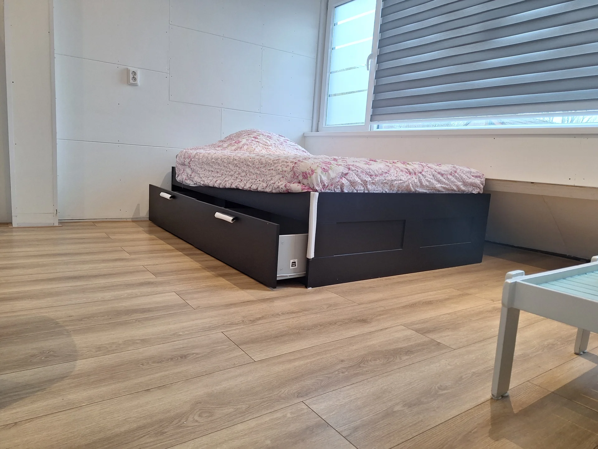 Rental property in Dodonaeusstraat 56, Zaandam