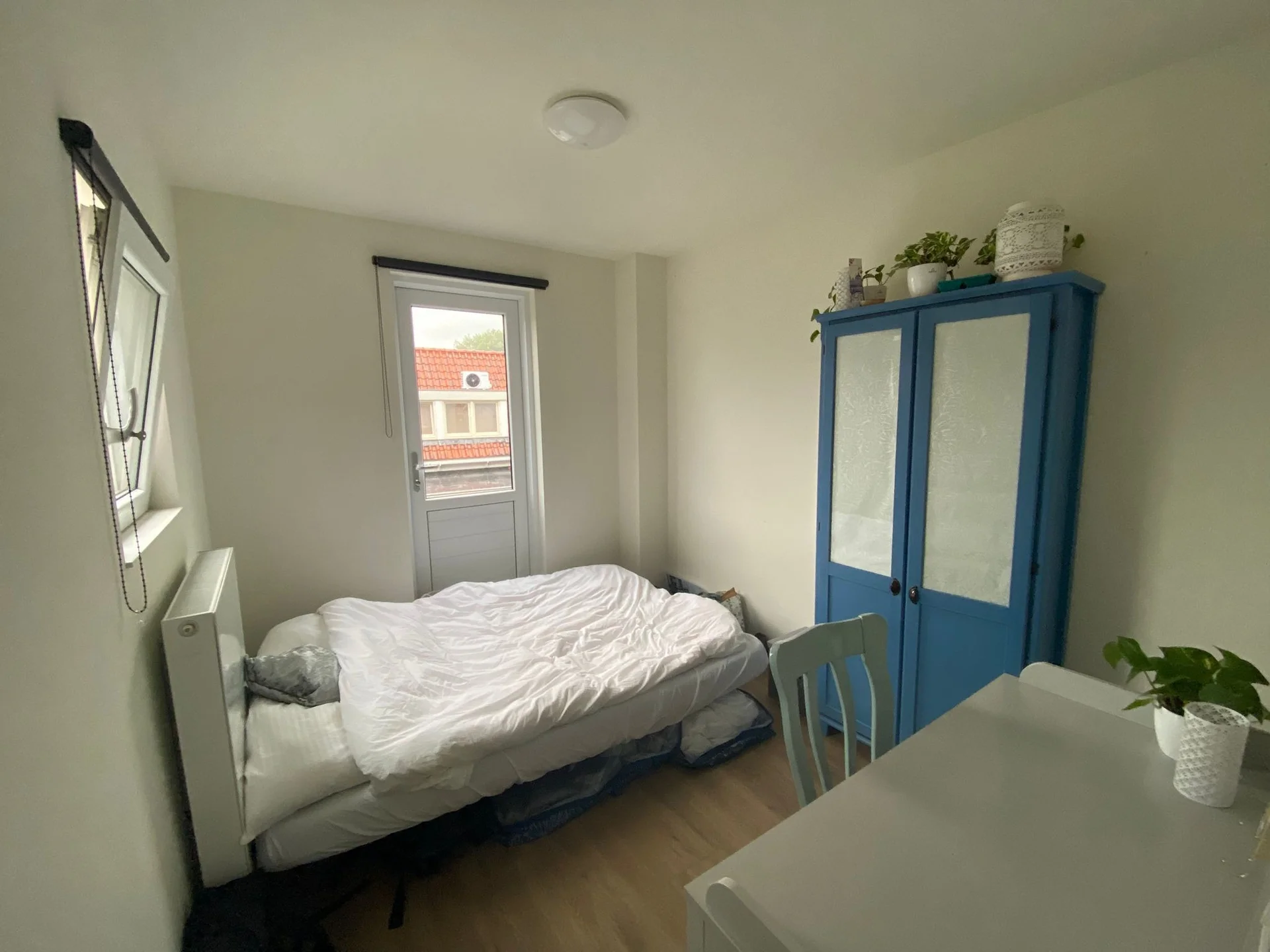 Rental property in Ooievaarstraat, Zaandam