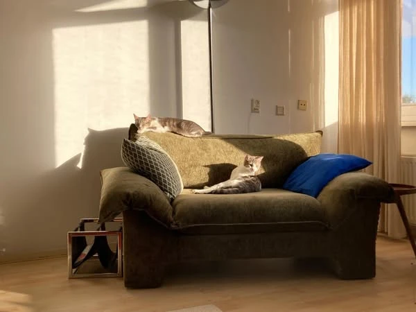 Rental property in Amsterdam
