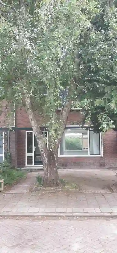 64m2 house to rent for 880.18€/month in Herderstraat 14, Jisp