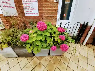 14m2 room te huur voor 799€/maand in Steynlaan 77, Zeist