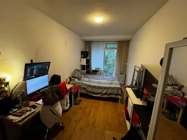 13m2 room te huur voor 440€/maand in Wijenburglaan 141, Arnhem