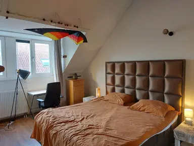 17m2 room te huur voor 875€/maand in Ohmstraat 3, Leiden