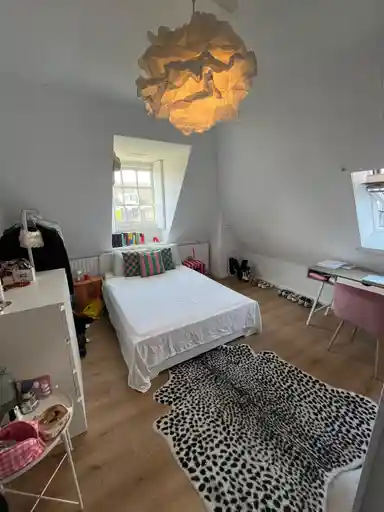 12m2 room te huur voor 470€/maand in Oude Singel 50, Leiden