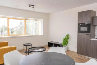apartment 31τ.μ. προς ενοικίαση για 1100€/μήνα στην περιοχή Rosmolenplein, Tilburg