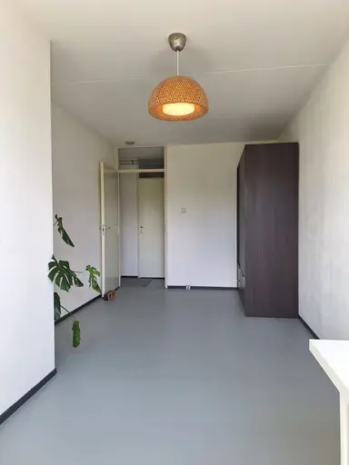 17m2 room te huur voor 950€/maand in Weesperstraat 316, Amsterdam