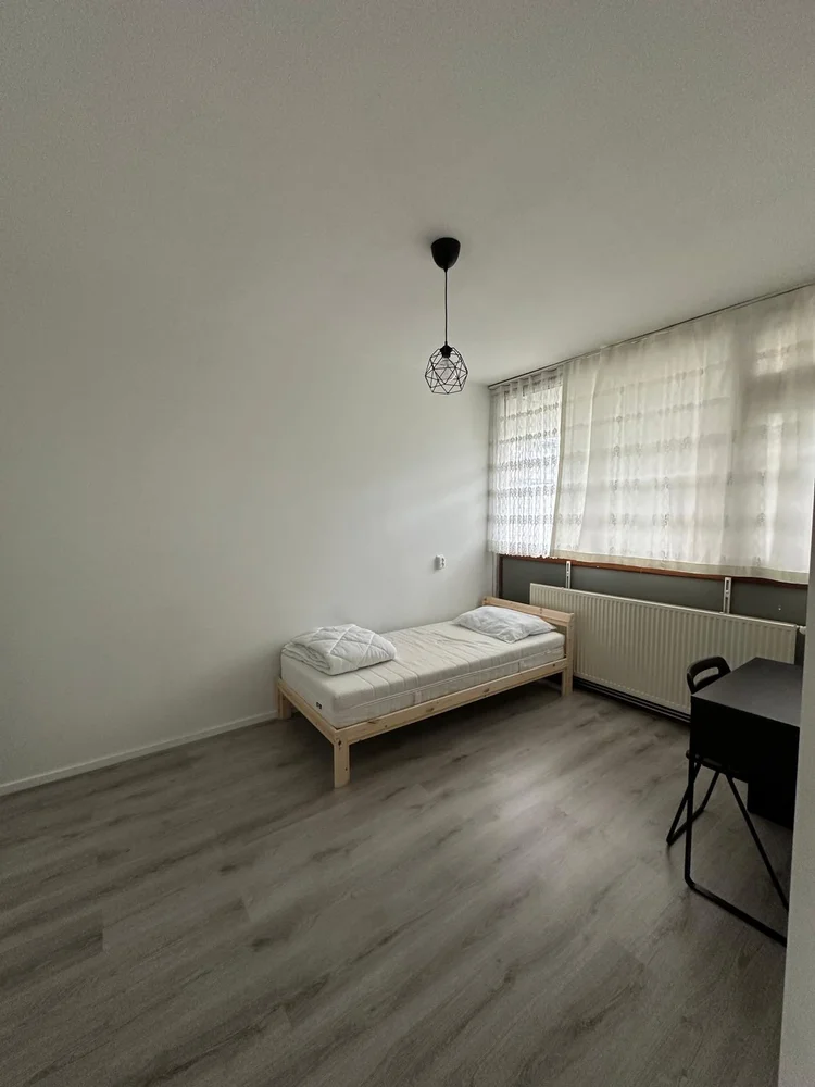 Rental property 2
