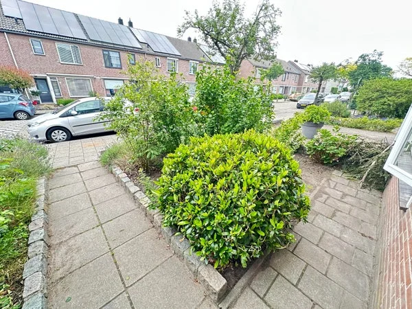 Rental property 2