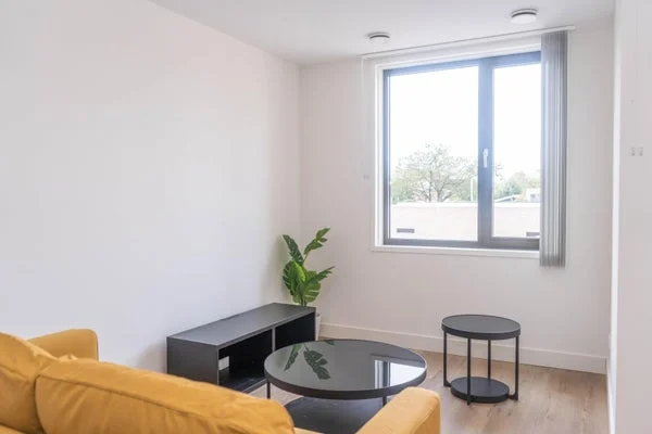 Rental property 2