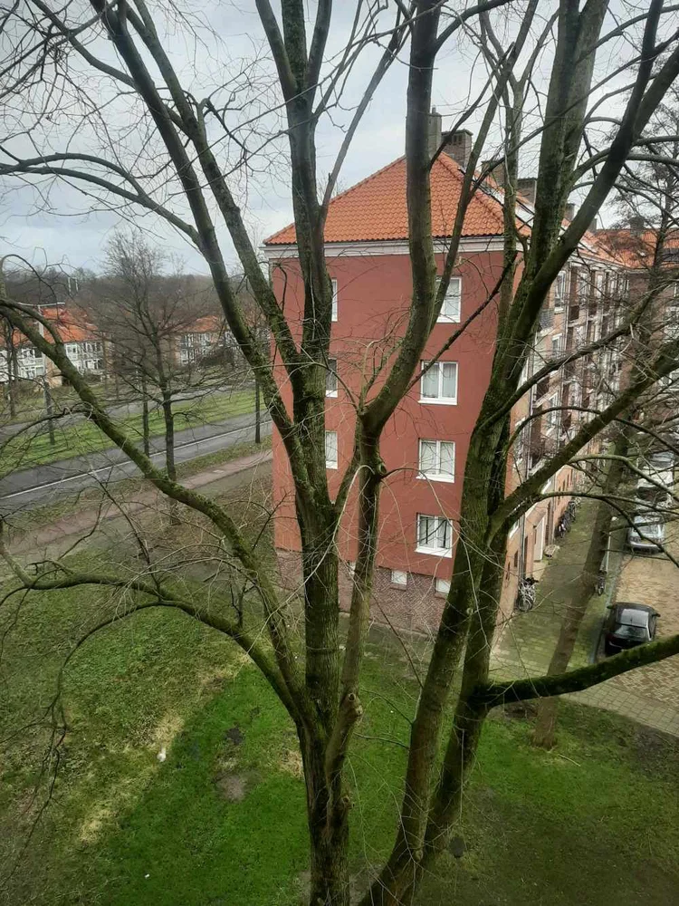 Rental property 3