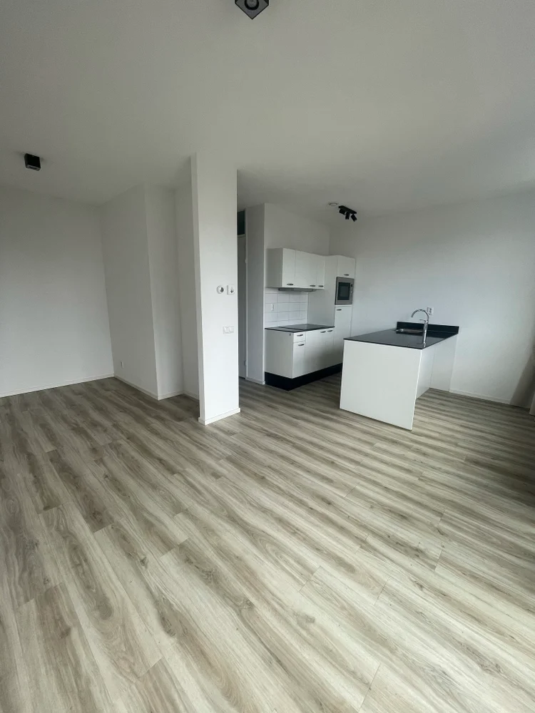 Rental property 4