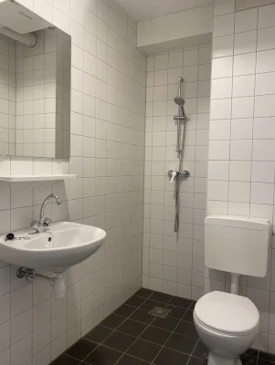 Rental property 5