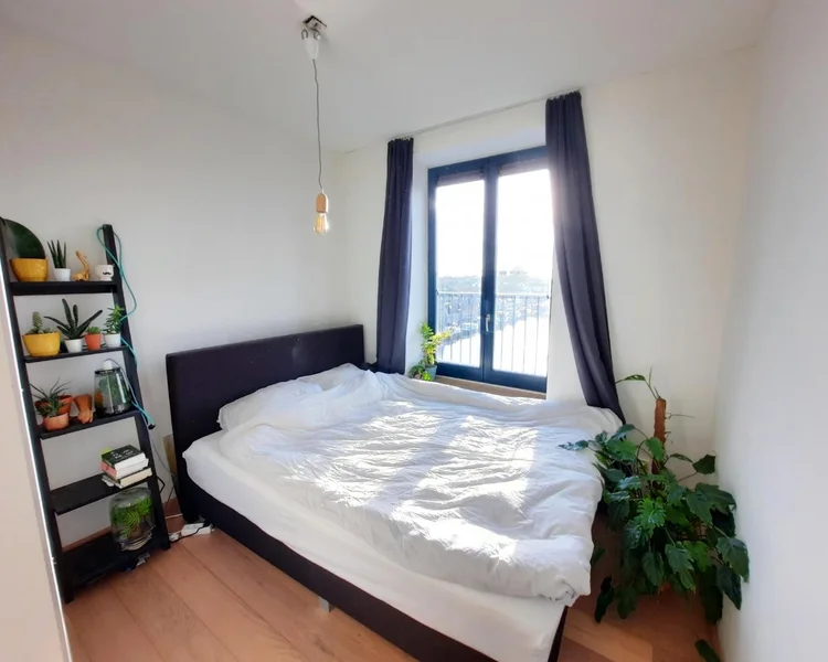 Rental property 5