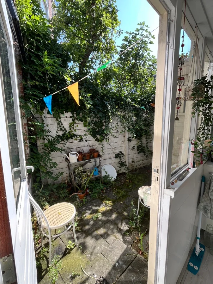 Rental property 5