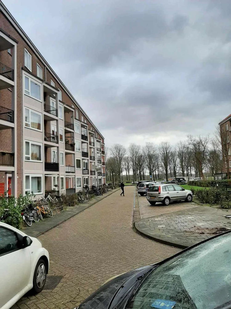 Rental property 5