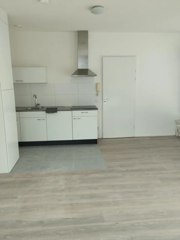 Rental property 5