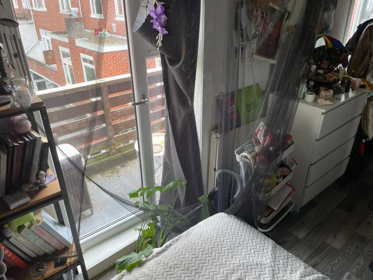 Rental property 5